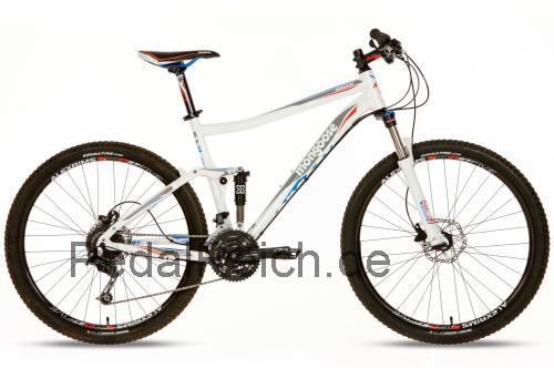 Mongoose Salvo Comp technische daten